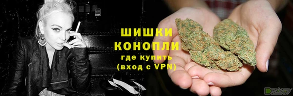 бутират Белокуриха