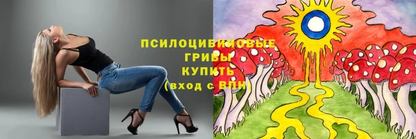 бутират Белокуриха