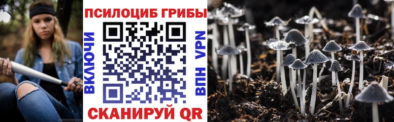 Галлюциногенные грибы GOLDEN TEACHER  закладки  Красный Кут 