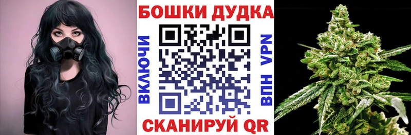 Шишки марихуана SATIVA & INDICA  купить закладку  Красный Кут 